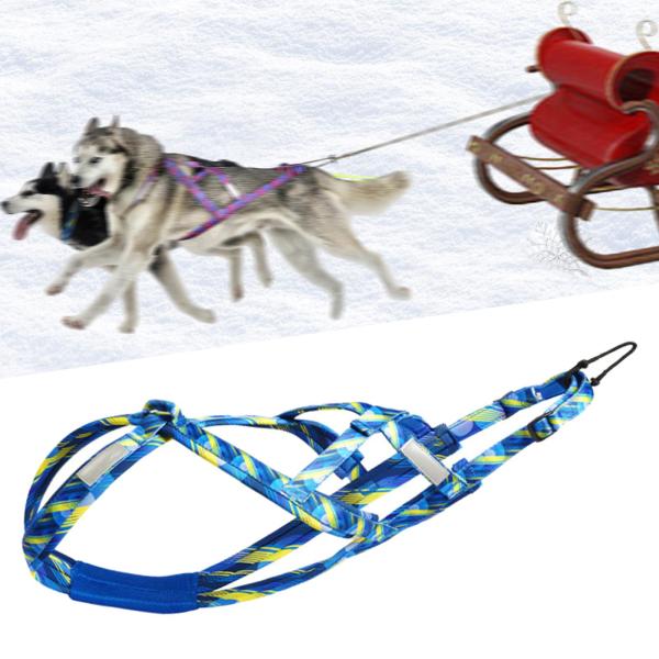 犬引っ張りハーネス スポーツ Skijoring Bikejoring ワークアウト スレッド ハーネス L ブルー