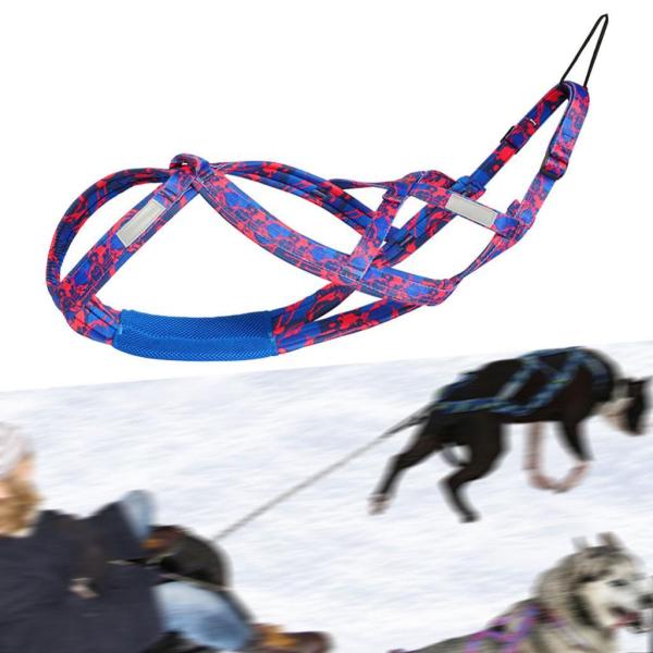 犬引っ張りハーネス スポーツ Skijoring Bikejoring ワークアウト スレッド ハーネス L ブルー