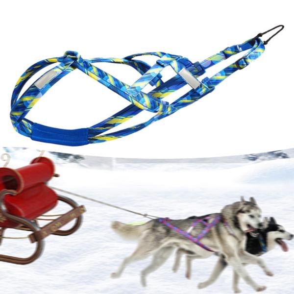 犬引っ張りハーネス スポーツ Skijoring Bikejoring ワークアウト そりハーネス XXL ブルー