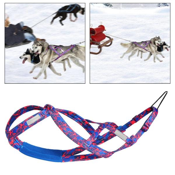 犬引っ張りハーネス スポーツ Skijoring Bikejoring ワークアウト そりハーネス ローズレッド M