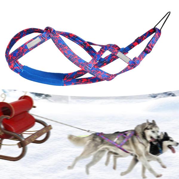 犬引っ張りハーネス スポーツ Skijoring Bikejoring ワークアウト そりハーネス ローズレッド M
