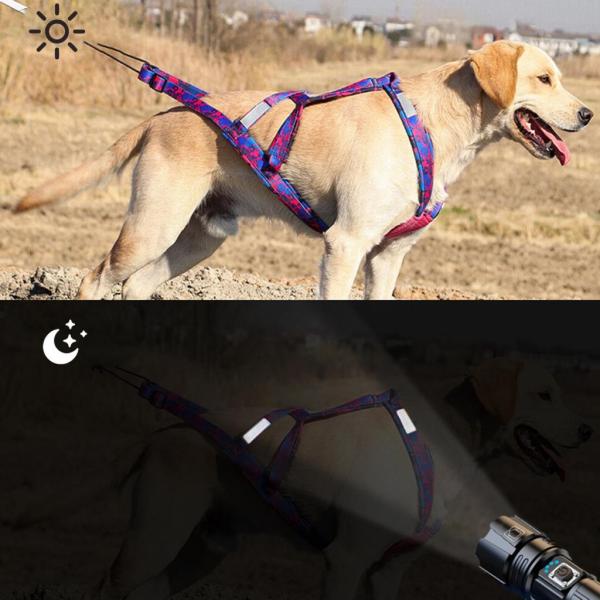 犬引っ張りハーネス スポーツ Skijoring Bikejoring ワークアウト そりハーネス ローズレッド XL