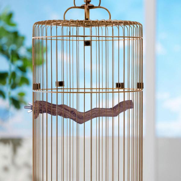 鳥止まり木オウム鳥立ちブドウスティックコニュアオカメインコインコストレート