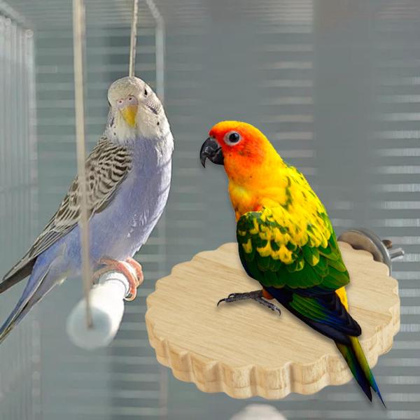 鳥止まり木スタンド オウム プラットフォーム 木の枝のおもちゃ コニュア小動物用 C