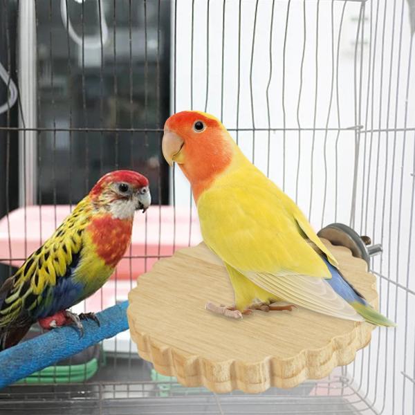鳥止まり木スタンド オウム プラットフォーム 木の枝のおもちゃ コニュア小動物用 C