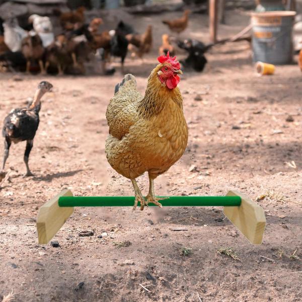 ひよこ止まり木 オウム小屋と育雛の裏庭用の強力な鶏のねぐらバー グリーン