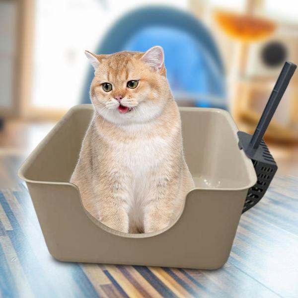 猫用トイレ 耐久性のあるオープントップ ペット用トイレ 小型中型猫 子猫  流出防止 猫のトイレ  カーキ色  ニャンとも清潔トイレセット