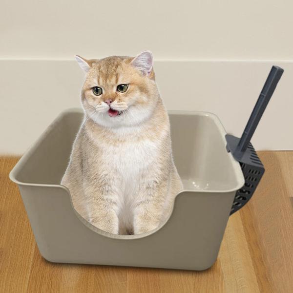 猫用トイレ 耐久性のあるオープントップ ペット用トイレ 小型中型猫 子猫  流出防止 猫のトイレ  カーキ色  ニャンとも清潔トイレセット