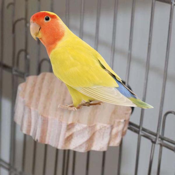 鳥止まり木スタンドプラットフォームエクササイズオウムスタンドラブバードセキセイインコフィンチプラムボッサム用