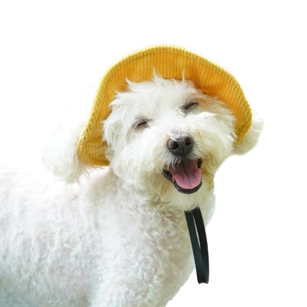 ペット帽子 コーデュロイ 通気性 耳穴付き 犬用帽子 アウトドア旅行用 夏 XS イエロー