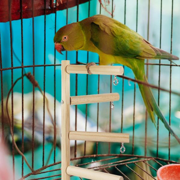 鳥の止まり木エクササイズ 小型中型オウム ハチドリ セキセイインコ用 4バー