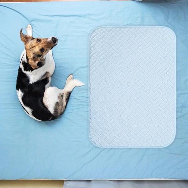 ペット用冷却マット 冷凍不要 ポータブル犬用冷却マット 猫用ベッド 犬用 M
