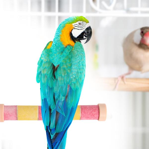 オウムの止まり木スタンド おもちゃ 噛みつき 鳥かご  オカメインコ インコ ラブバード ピンク フィクサー