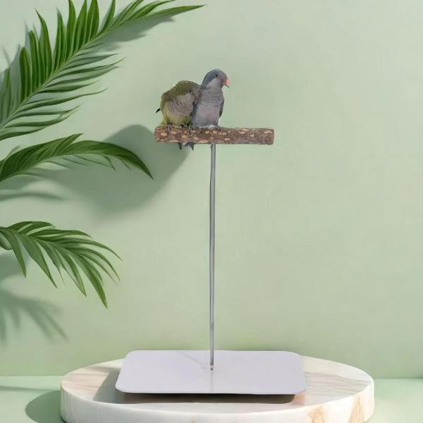 オウム パーチ プレイスタンド 実用的な鳥遊びジムスタンド オウム オカメインコ用 S スクエア