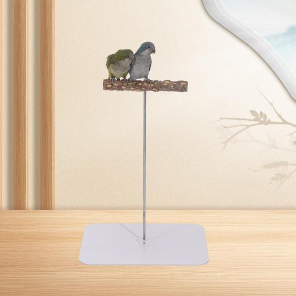 オウム パーチ プレイスタンド 実用的な鳥遊びジムスタンド オウム オカメインコ用 S スクエア
