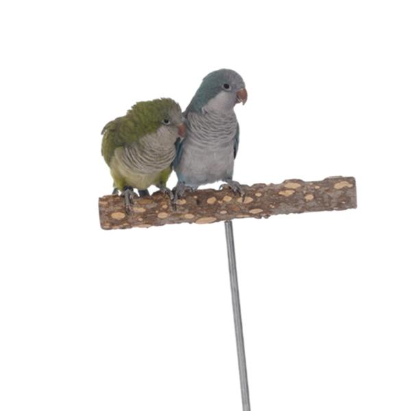 オウム パーチ プレイスタンド 実用的な鳥遊びジムスタンド オウム オカメインコ用 S スクエア