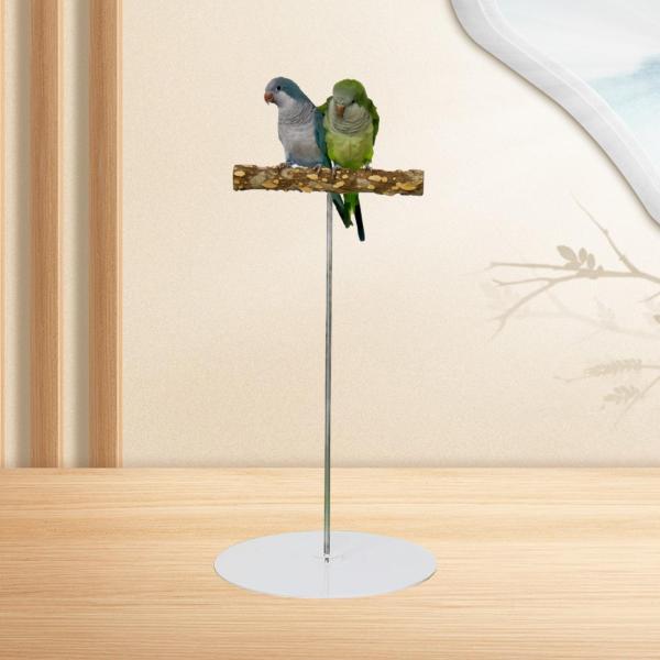 オウム パーチ プレイスタンド 実用的な鳥遊びジムスタンド オウム オカメインコ用 L ラウンド