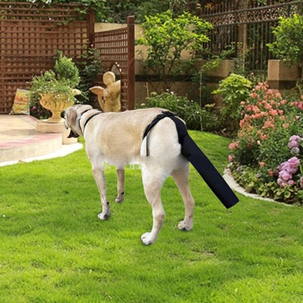 犬のしっぽスリーブ 舐める犬用品 犬のしっぽスリーブ 自宅運動 ハイキング用 M