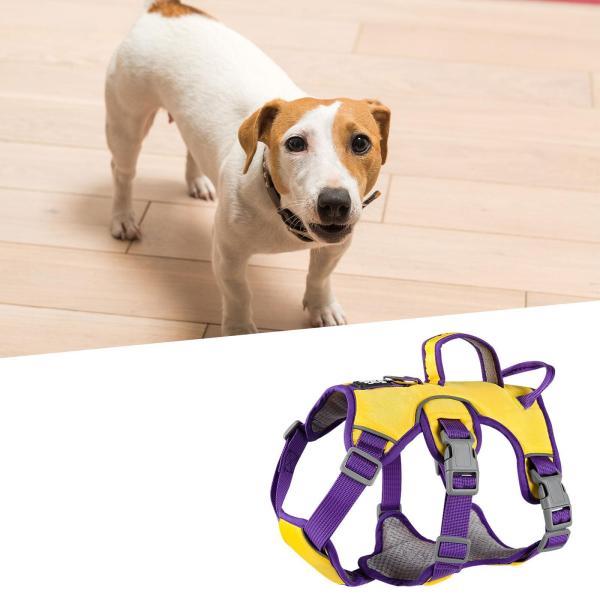 犬用ハーネス 軽量 調節可能 ソフトパッド入り 犬用ベスト 中型小型犬用 L