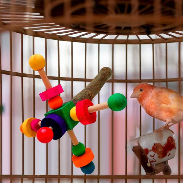 色付き積み木スティック 木製鳥用止まり木 実用的なオウム 鳥の立つオウムスタンド 枝フォーク コニュア セキセイインコ用
