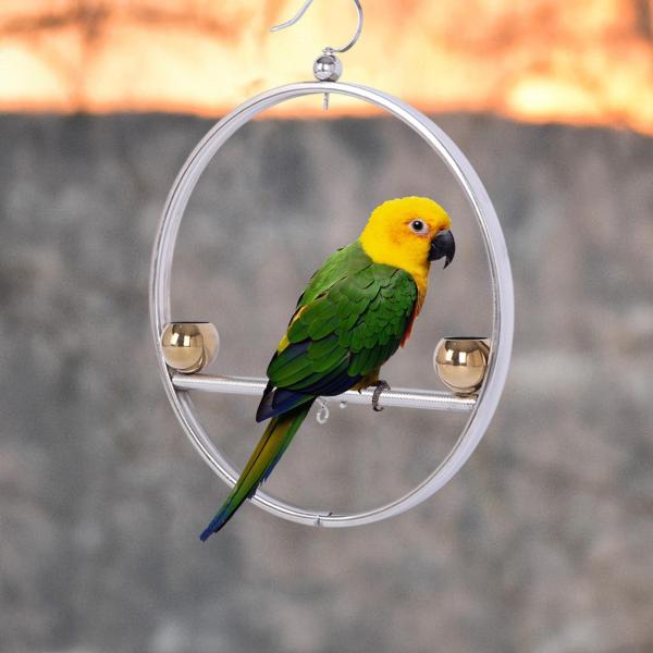 オウム プレイスタンド バードジム バードパーチ プレイスタンド セキセイインコ カナリアス ラヴバード ゴールデンボウル用