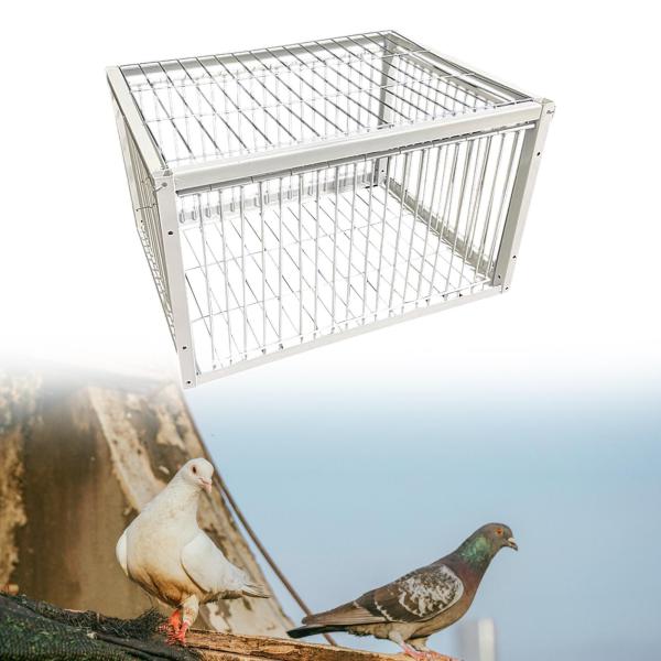鳥かご自動鳩収集オウム枢機卿その他の鳥 4 入り口
