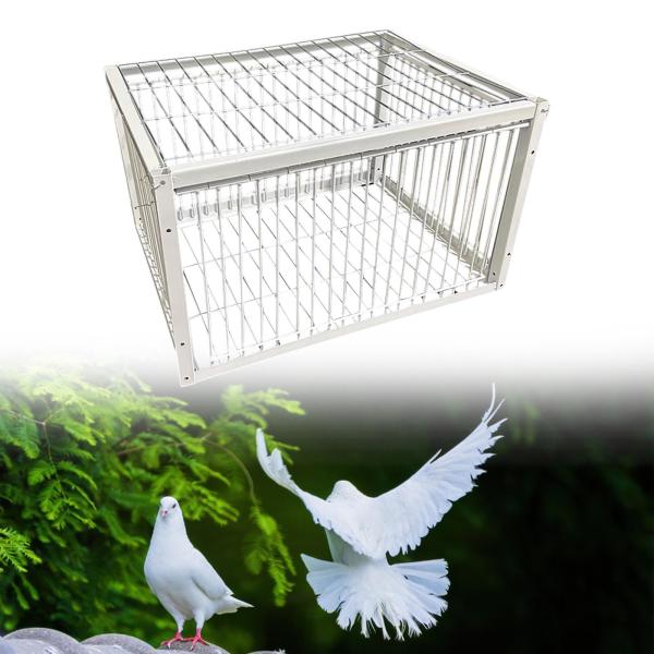 鳥かご自動鳩収集オウム枢機卿その他の鳥 4 入り口