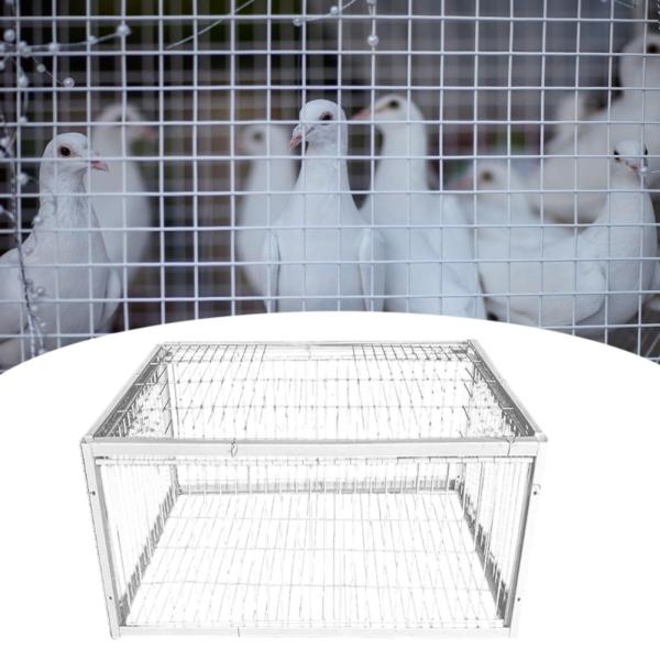 鳥かご 簡単組み立て ポータブル鳩小屋 鶏倉庫 果樹園用 4個入り