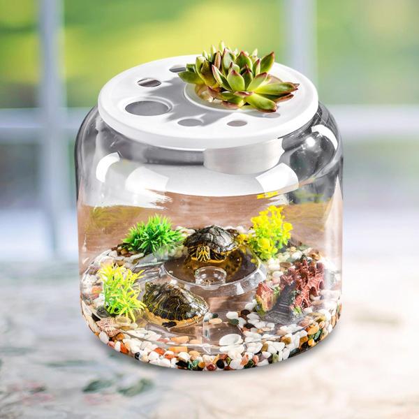 タートルコンテナデスク寮の農家のための汎用性のあるステップテラリウム蓋付きXL