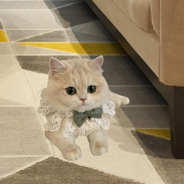 かわいい弓、子猫の襟、ドレスアップ、調整可能、犬の子犬の子犬のペット猫のためのケルチーフ甘いペットのスカーフ付きレースの猫の首輪