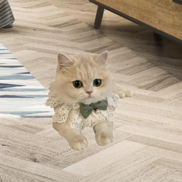 かわいい弓、子猫の襟、ドレスアップ、調整可能、犬の子犬の子犬のペット猫のためのケルチーフ甘いペットのスカーフ付きレースの猫の首輪