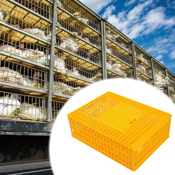 鳥類の鶏小屋鶏肉輸送クレートケージ鳥のためのウサギハムスターイエロー