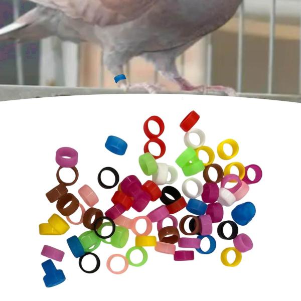 鳥の足輪 足ラベルリング 牡丹 鶏 オウム用 鳥の足輪 スタイル A