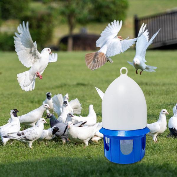 ピジョン ドリンク ウォーター ドリンク 鳩 ドリンク ペット用品 ラブバード セキセイインコ 6L