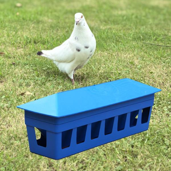 鳥の鳩の餌箱、鳥の給餌ボウル容器、鳩の供給、養鶏場の皿皿ディスペンサー鳥類のひよこ