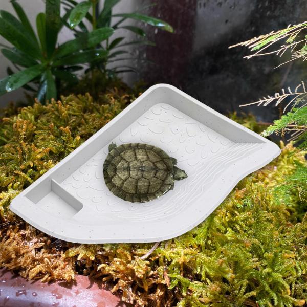 爬虫類用ウォーターディッシュ(傾斜路付き) 風景型爬虫類用入浴プール トカゲ・ヘビ用 ホワイト