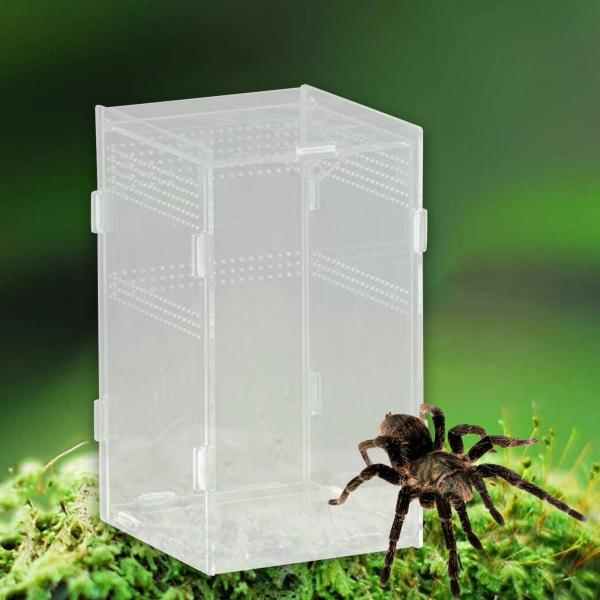 爬虫類飼育箱 広々とした透明で通気性に優れたカエル・ヤドカリ用 12x12x20cm