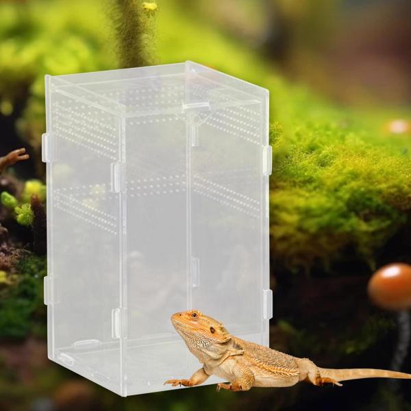 爬虫類飼育箱 広々とした透明で通気性に優れたカエル・ヤドカリ用 12x12x20cm