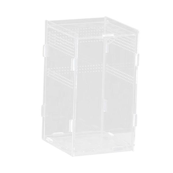 爬虫類飼育箱 広々とした透明で通気性に優れたカエル・ヤドカリ用 12x12x20cm