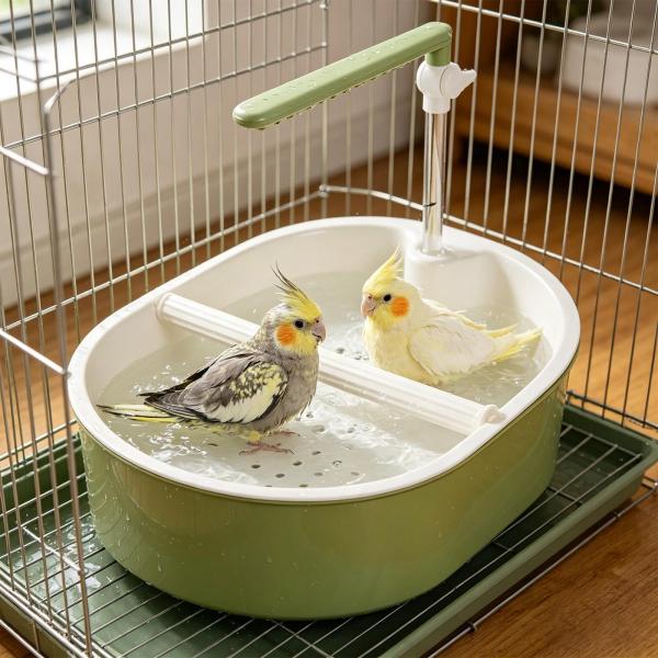 オウム用バスタブ ポータブル 実用的 水流調節可能 コニュア オカメインコ フィンチ用 スタイルB グリーンシャワー