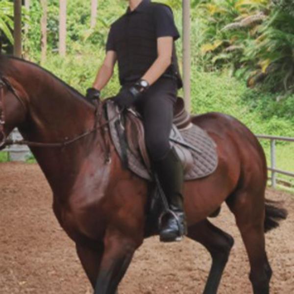 乗馬ボディプロテクター安全馬術ベストプロテクトL大人