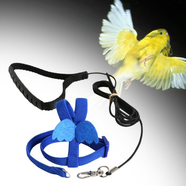鳥用ハーネスとリーシュ トレーニングロープ コニュア セキセイインコ 小型オウム ピジョン ブルー XS