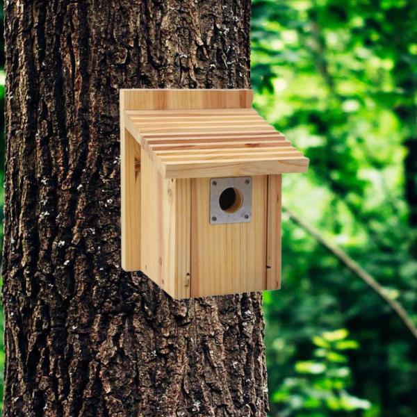 鳥屋の外の屋外の鳥の家は簡単に掃除しやすい頑丈な頑丈なディーバードネストケージフィーダーケースパークハミングバードパティオのためのケース
