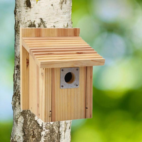 鳥屋の外の屋外の鳥の家は簡単に掃除しやすい頑丈な頑丈なディーバードネストケージフィーダーケースパークハミングバードパティオのためのケース