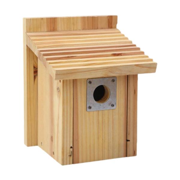 鳥屋の外の屋外の鳥の家は簡単に掃除しやすい頑丈な頑丈なディーバードネストケージフィーダーケースパークハミングバードパティオのためのケース