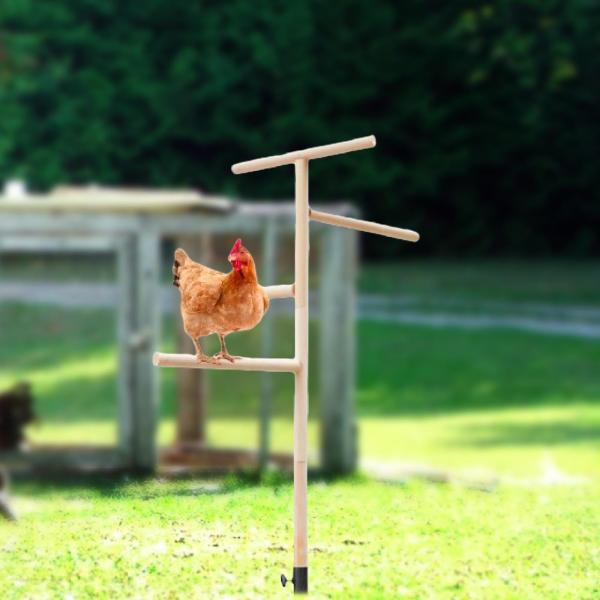 鶏小屋用止まり木おもちゃ、鶏止まり木スタンド屋外プラットフォーム、組み立てと清掃が簡単、裏庭に立つオウムのバー