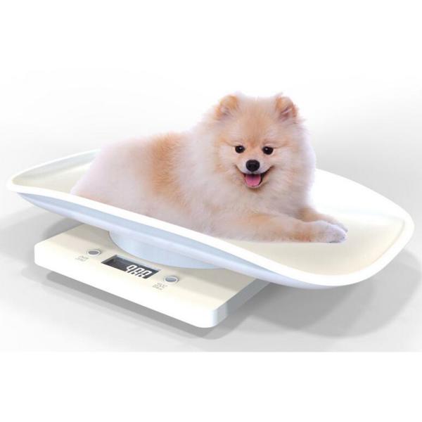 人気商品 体重計 小型ペット用 295mm未満 多機能 デジタル スケール測定 犬 猫 鳥 オウム 体重測定 体重管理 小動物スケール 最大10kg 自動シャットダウン