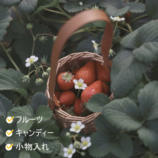 織花バスケット 籐織り 子供用のカバン収納バスケット かご 籐 エアバスケット ピクニック 籐バスケット 屋内屋外 装飾 パーティー 夏 旅行 写真 小物入れ