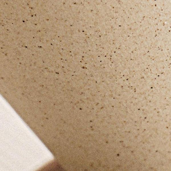 漏斗コーヒーカップ クラシック ベース付き 旅行 茶道 パーティー レストラン L ビーズベース