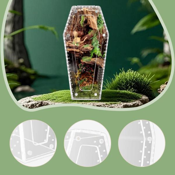 アクリル製ハエトリグモ飼育ケース テラリウムコンテナ 陸生動物または樹上動物用 小型両生類生息地 クモタンク
